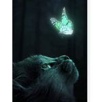 ||• Luminous Pelts •||