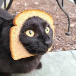 The bread group for cool people