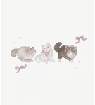 ~.Darlynns.~