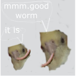 birds cool boys