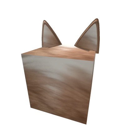 Rose the cat