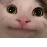 Pooko