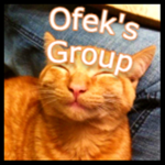 Ofek's Group