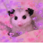 Opossum NEX
