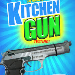 Kitchen Gun Testing