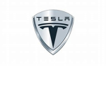 #Tesla's are electric lions