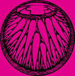 Avicenna