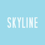 Skyline Pilot Training Flight Simulator Airlines