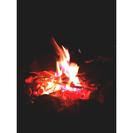 وجهك طويل