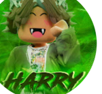 0BVHARRYY fan group mm2 lover