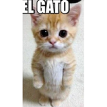 10 robux por semana a quien quiera