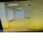 Backrooms footage