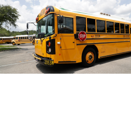 Leon, county school bus simulator