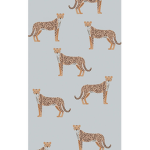 Wild cheetahs!