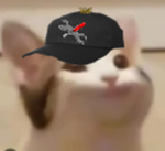 Popcat forever Gang