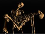 THE SPOOKY SKELITON GANG