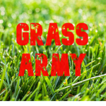 The Grass Armed Division