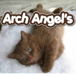 *ArchAngel's* Group Thumbnail