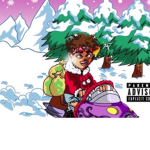 5 sidegang