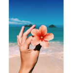 CoconutxxSunnys Group