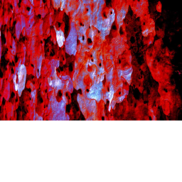 Ritual Site