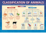Tribe of Wild Animals