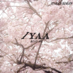 /yaa