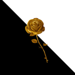 La Rosa D'oro