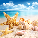 ~Beachy Friends~