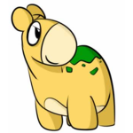 Numel Team