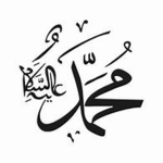 Muhammed Prophets