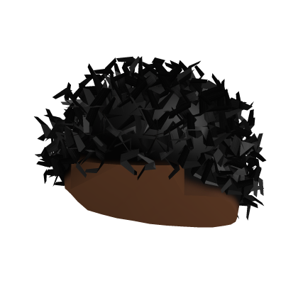 Short Curly Black Hair  Roblox item