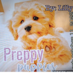 *-Preppy Puppies-*