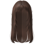 Brown Wispy Straight Hair