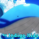 lndigo Kids
