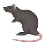 The Rat Clubb