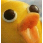 The First church of Memeism