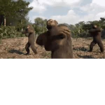 Monkey_gods group