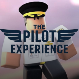 The Pilot Experience