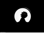 SHADOWS PARTY HERE