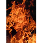 The Everlasting Flames