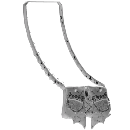 vampy bat crossbody bag in white // ҂,..,x
