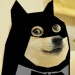 The Doge Nations