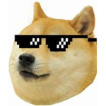 new doge group