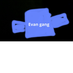 Evan club
