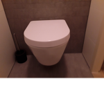 TOILET PEE AND POOP