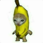 Enes Armys