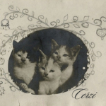 cerzi