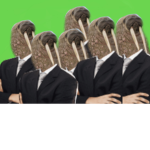 Green Walruses