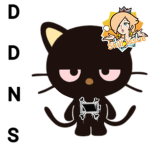 D.D.N.S